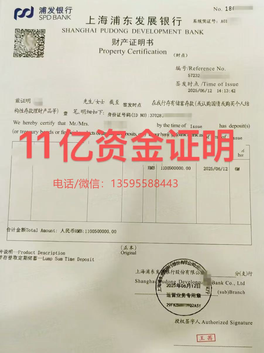 个人财产证明（11亿）
